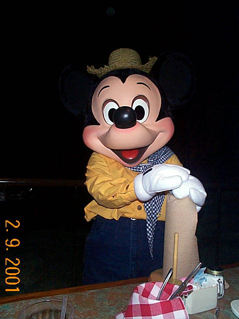 mickey1a.jpg (83787 bytes)